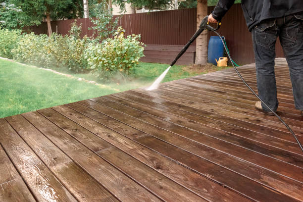 Best Roof Cleaning and Mildew Removal in Fairmont, NC